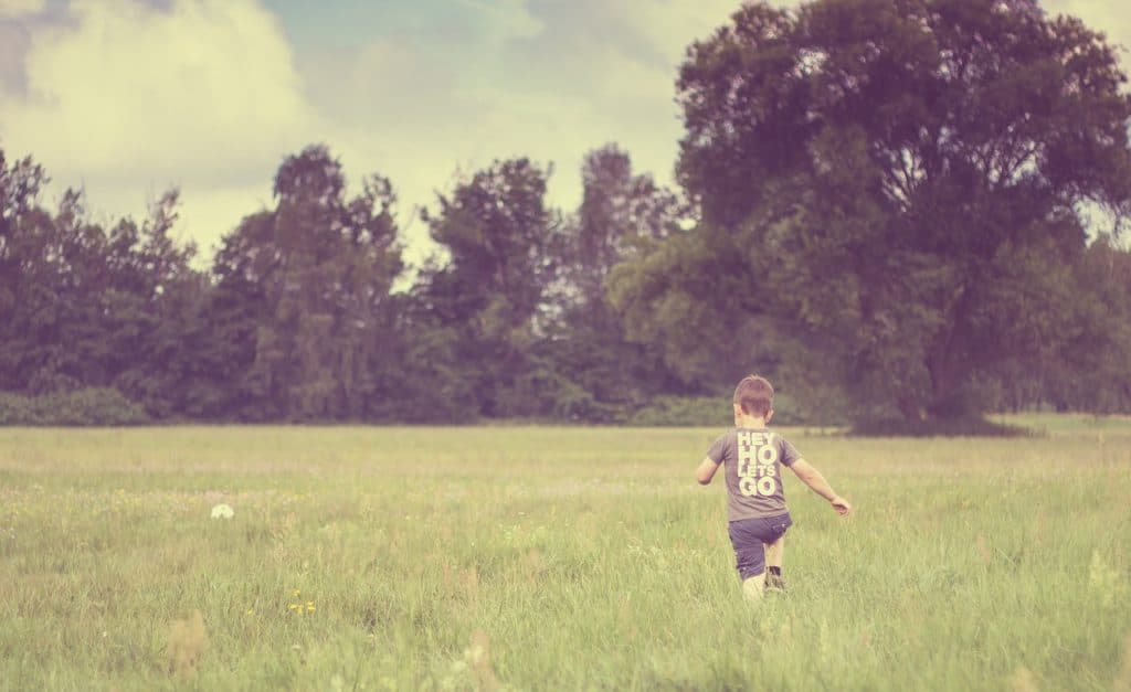 child, nature, meadow