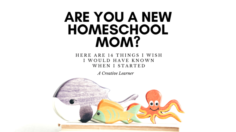 14 Helpful Tips for the New Homeschool Mom